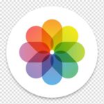 Macのphotoアプリ